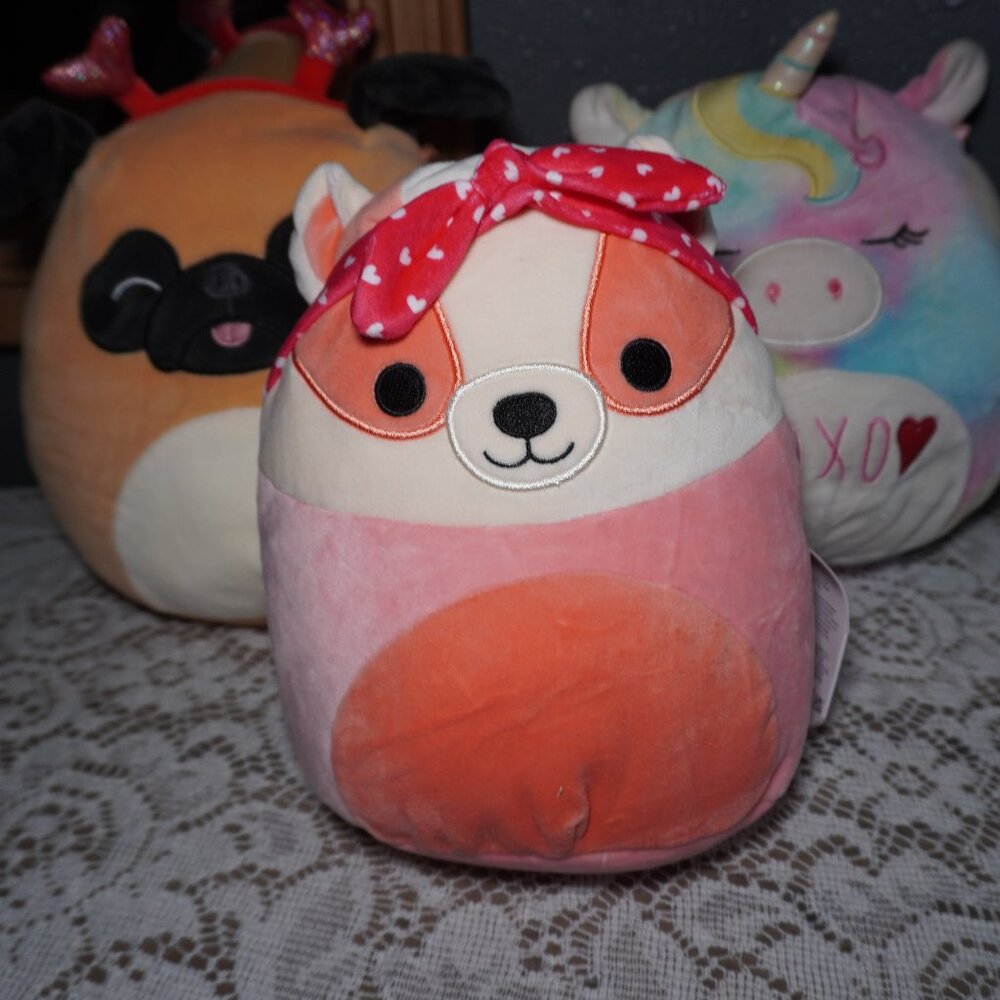 Squishmallows Rostam the Badger Pam The Pug Valentine’s, Rainbow Unicorn Anica